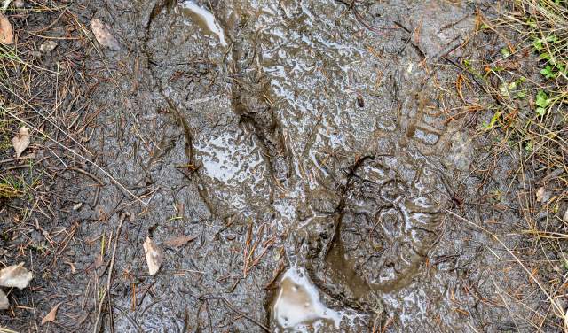 Tread Lightly & Leave No Trace: Essential Spring Hiking Etiquette