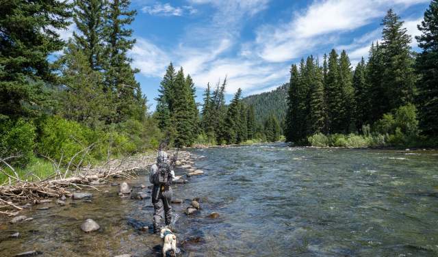 Fishing on the Gallatin River