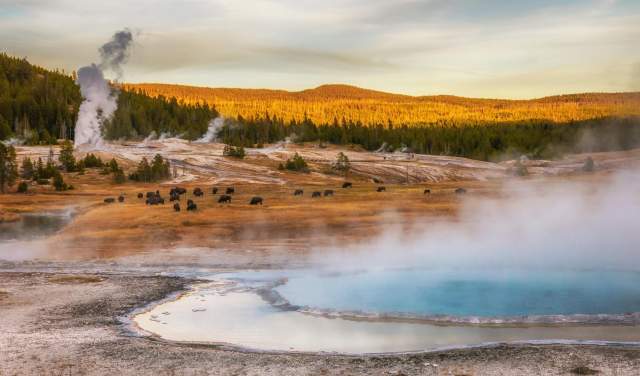 Why Fall Is One of the Best Times to Visit Yellowstone National Park