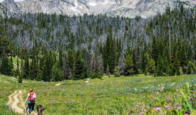 10 Hiking Essentials In Big Sky Country
