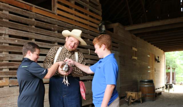 Copy of Nash Farm - Animals