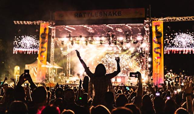 Crowd at McDowell Mountain Music Festival in Phoenix, AZ