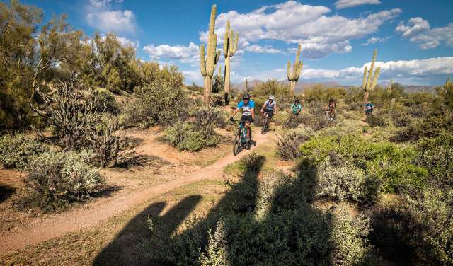 mountain biking