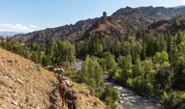Everything You Need to Know About a Wyoming Horse Pack Trip