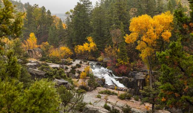 Fall in Wyoming: 15 Ways to See Fall Colors