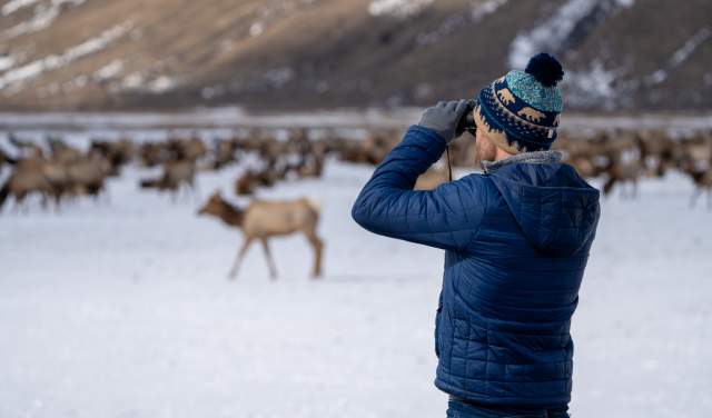 Top 12 Things to Do in Jackson, WY