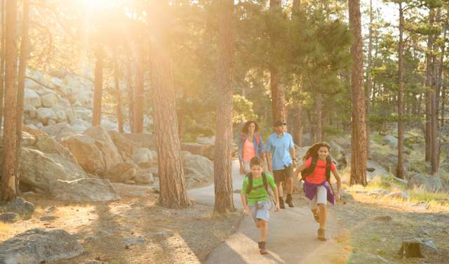 Family-Friendly Guide to Devils Tower National Monument