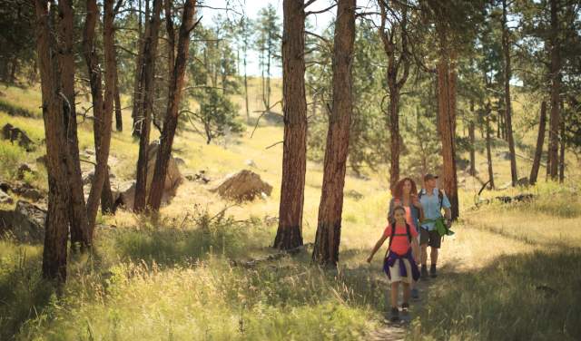 Family-Friendly Activities to Add to Your Wyoming Bucket List in 2025