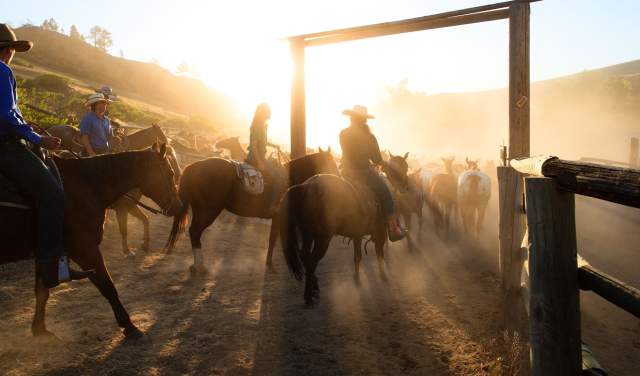 7 Reasons to Stay at a Wyoming Guest Ranch or Dude Ranch