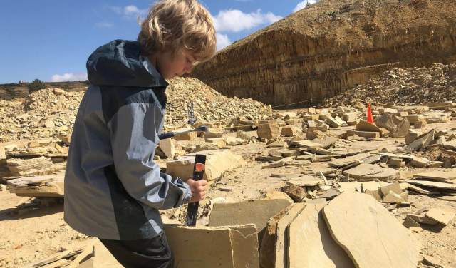 Where to Dig for Fossils in Wyoming
