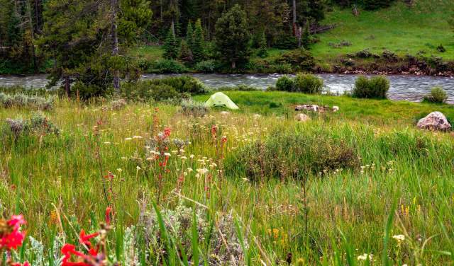Last-Minute Campsites near National Parks in Wyoming