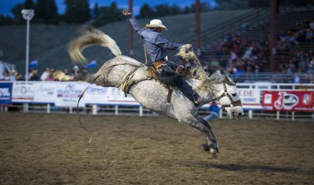 Cowboy up this Summer with these Can't-Miss Wyoming Rodeosww