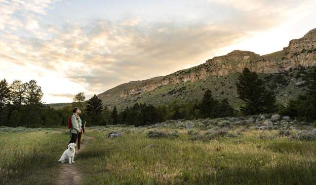 A Guide to Hiking With Your Dog in Wyoming