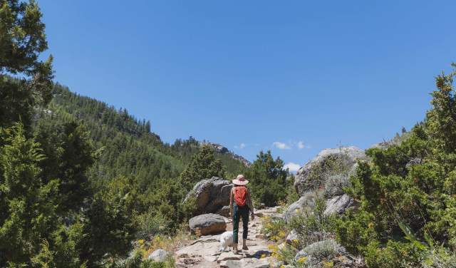 Best Trail-to-Tavern Adventures in Wyoming