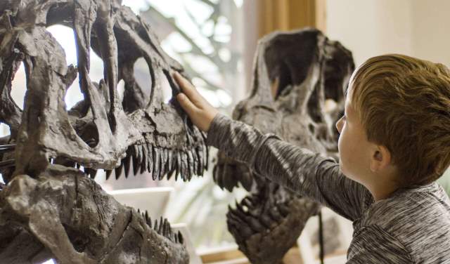 Discovering the Cowboy State: 10 Fun Facts About Wyoming for Kids