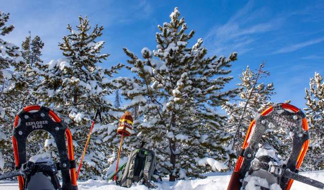 10 Unforgettable Winter Wyoming Adventures