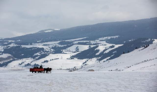 10 Unforgettable Winter Wyoming Adventures