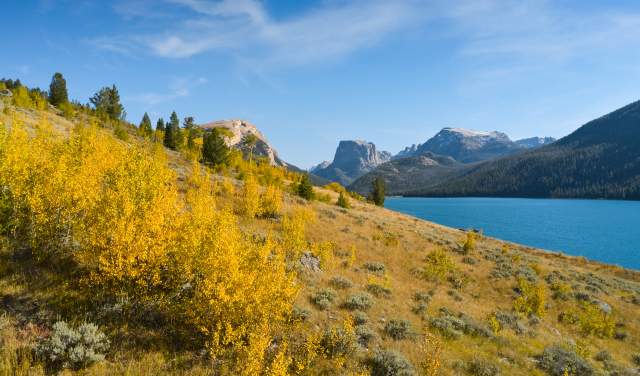 Nine Places to See Fall Foliage in Wyoming
