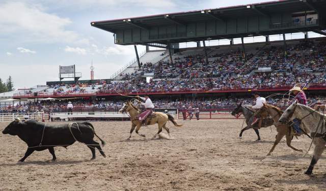 Saddle Up: The Official Guide to Rodeo Events in the Cowboy State