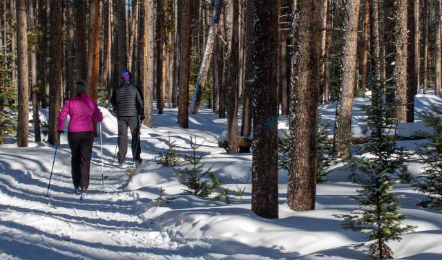 Top Cross-Country Ski & Snowshoe Trails