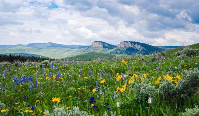 Celebrate Wyoming's 307 Day