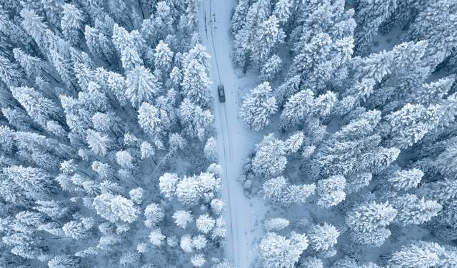 Top Winter Road Trips in Wyoming