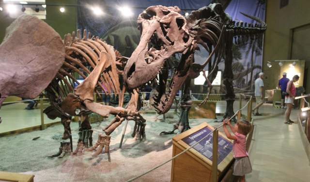 Discover History, Wildlife & Fun: Family-Friendly Museums in Wyoming