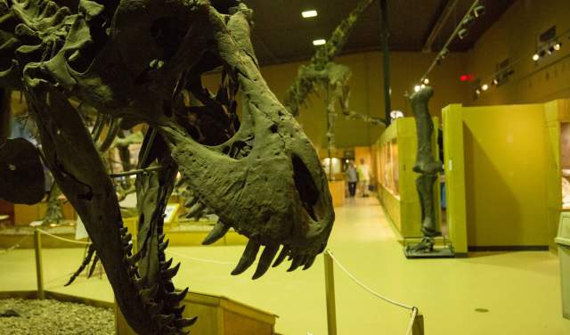 How to Make your Park to Park Road Trip Family Friendly