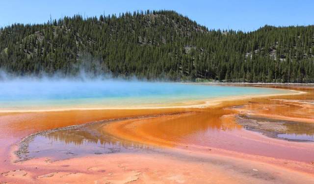 Your Family-Friendly Guide to Yellowstone National Park