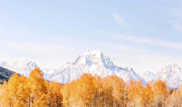 Top 12 Things to Do in Yellowstone National Park