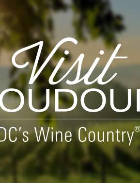 Bluemont Vineyard