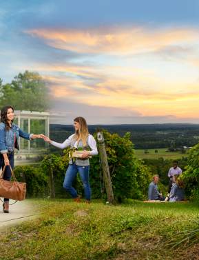 Miles Campaign: Bluemont & Metro