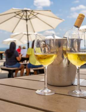 Winery in summer