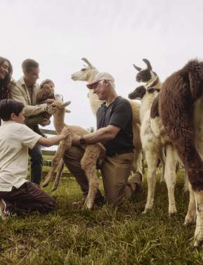 Visitors meeting alpacas at a Loudoun County farm during the Spring Farm Tour