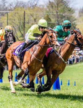 Horse and rider on a rolling green field in Middleburg, Virginia hunt country