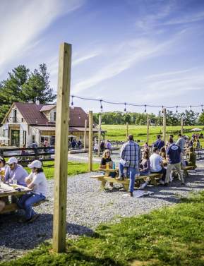 Beyond the Brew: Best Events at Loudoun Wineries and Breweries