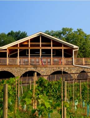 Bluemont Vineyard