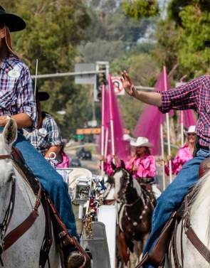 Norco Horseweek 2025
