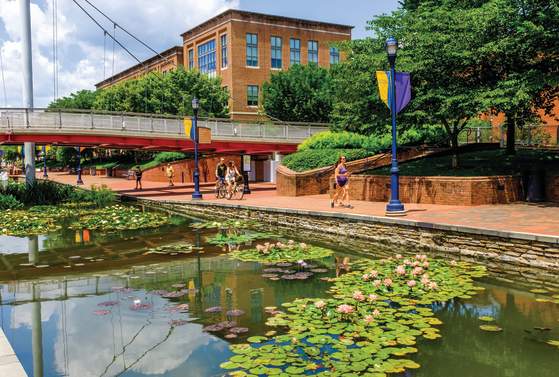 People jogging and riding bikes along Carroll Creek