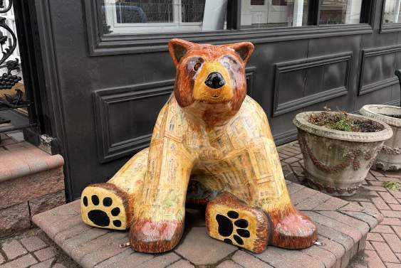 Plan the Ultimate Berks County Bear Hunt Getaway