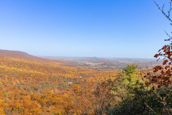 Leaf Peeping in Pennsylvania