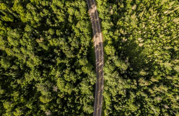 How Far Is Cook County? A Road Trip Guide to Minnesota's Best Kept Secrets