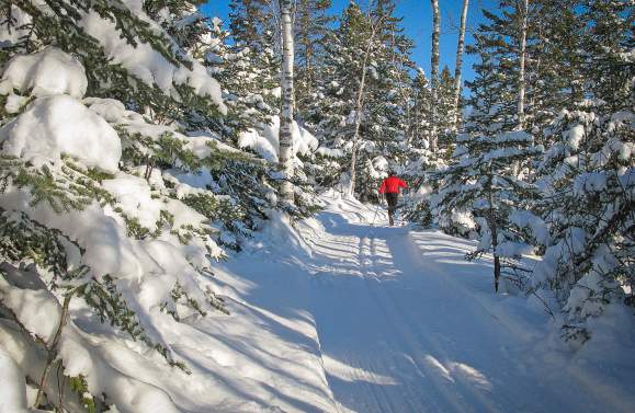 Cross-country skiing / skier