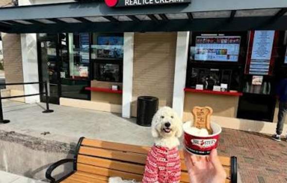 Bruster's Ice Cream
