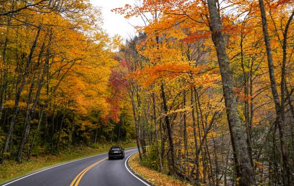 Fall driving smokies