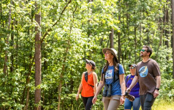 Your Go-To Guide to Catawba County Parks