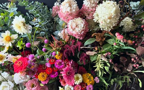 Still Waters Farm and Gardens