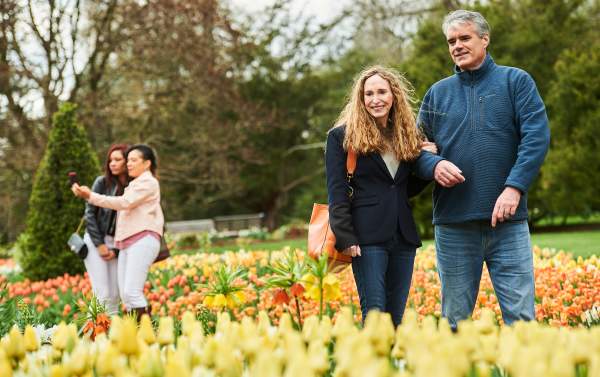 Tulips at Longwood