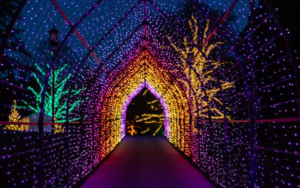 Longwood Christmas Light Tunnel