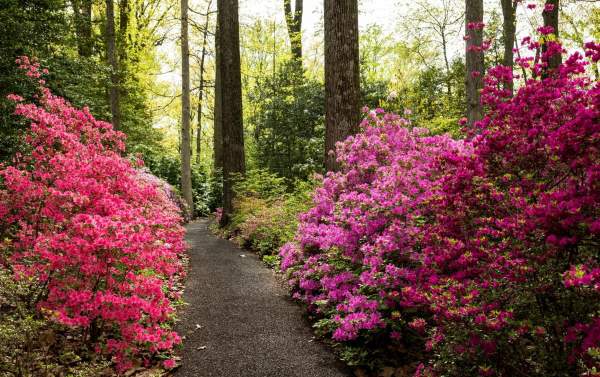 Jenkins Arboretum